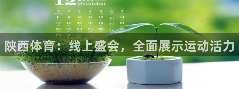 袋鼠直播体育在线：陕西体育：线上盛会，全面展示运动活力
