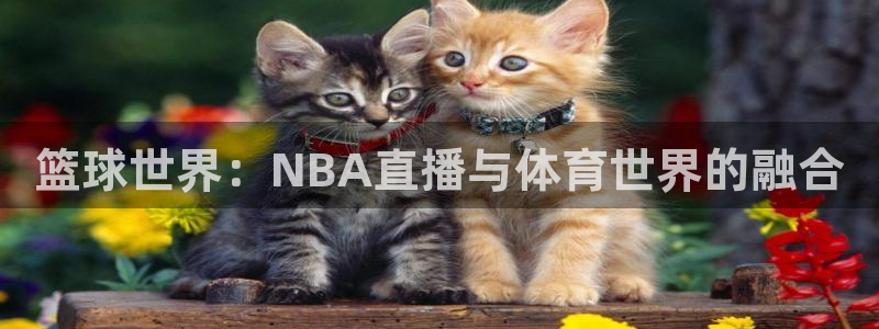 袋鼠直播体育直播入口：篮球世界：NBA直播与体育世界的融合