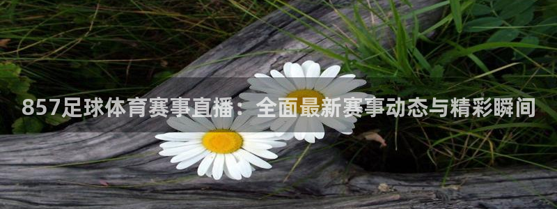 袋鼠体育直播nba：857足球体育赛事直播：全面最新赛事动态与精彩瞬间