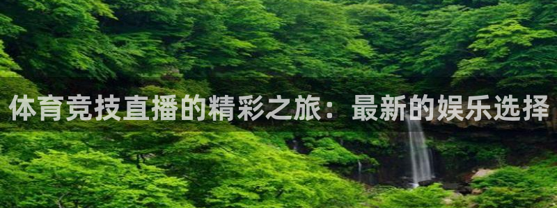 袋鼠体育直播官网：体育竞技直播的精彩之旅：最新的娱乐选择