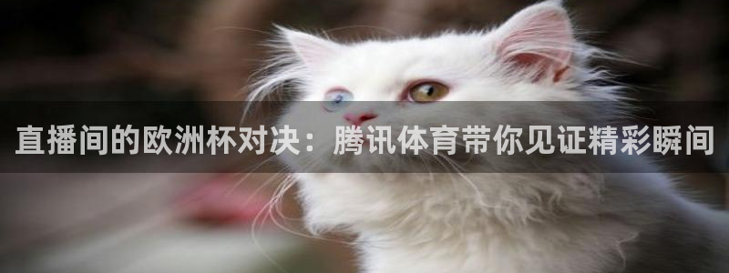 袋鼠直播nba免费观看足球：直播间的欧洲杯对决：腾讯体育带你见证精彩瞬间