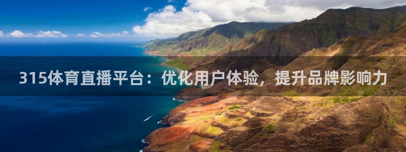 袋鼠直播看球：315体育直播平台：优化用户体验，提升品牌影响力