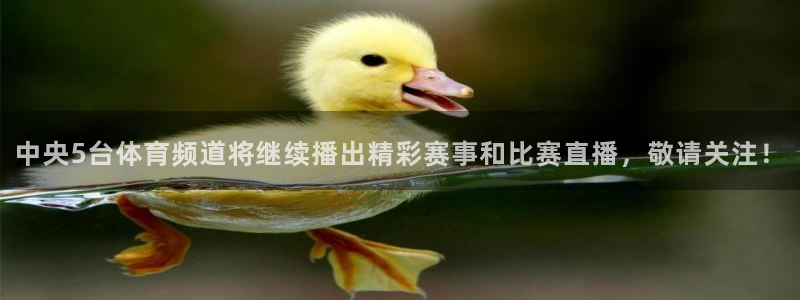 袋鼠在线直播体育：中央5台体育频道将继续播出精彩赛事和比赛直播，敬请关注！