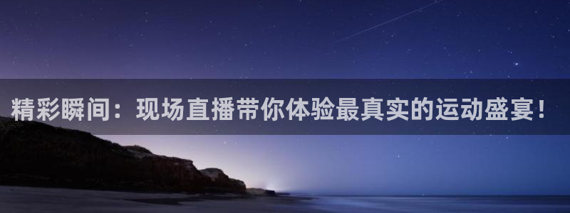 袋鼠直播看nba比赛：精彩瞬间：现场直播带你体验最真实的运动盛宴！
