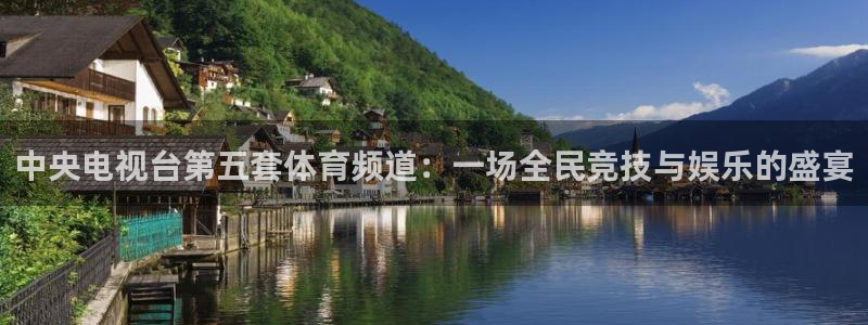 袋鼠直播在线播放：中央电视台第五套体育频道：一场全民竞技与娱乐的盛宴
