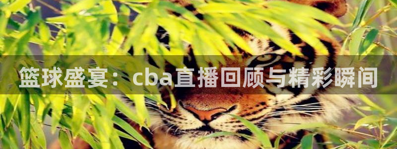 袋鼠体育直播在线观看：篮球盛宴：cba直播回顾与精彩瞬间