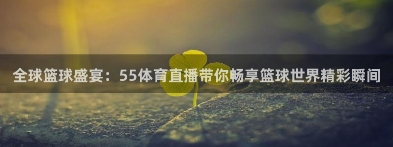 袋鼠直播体育.新网页.org：全球篮球盛宴：55体育直播带你畅享篮球世界精彩瞬间