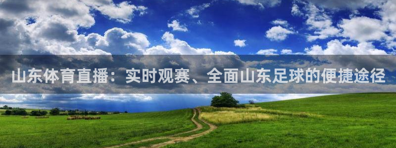 袋鼠nba体育直播：山东体育直播：实时观赛、全面山东足球的便捷途径
