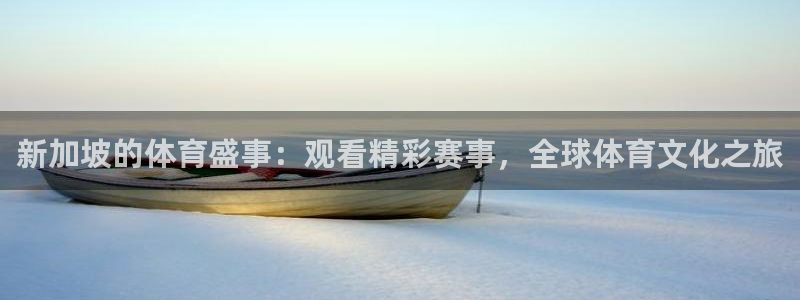 袋鼠直播体育在线观看：新加坡的体育盛事：观看精彩赛事，全球体育文化之旅