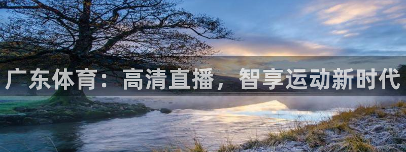 袋鼠直播看球：广东体育：高清直播，智享运动新时代